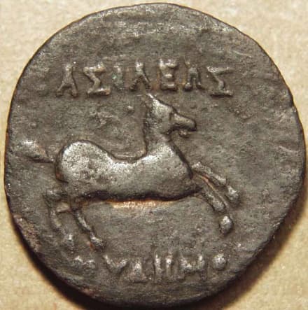 Euthydemos I Bronze chalkous / unit, c. 230-220 BCE - Copper reverse