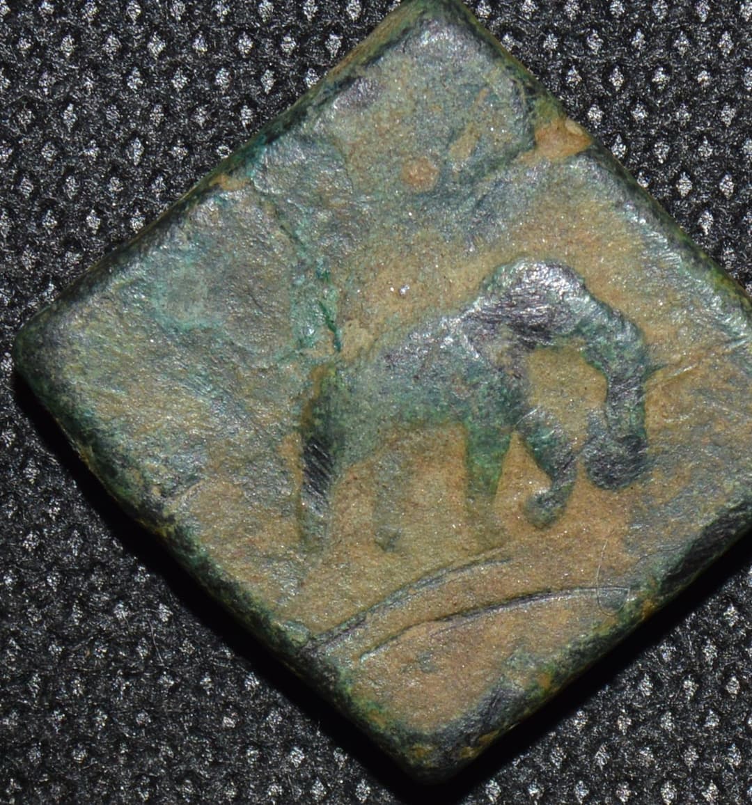Antimachus I Copper tri-chalkon, c. 174-165 BCE obverse