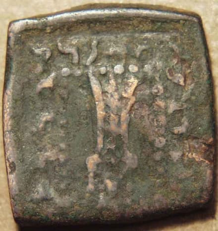 Indo-Greek: Apollodotus I, AE single or di-chalkon - Copper reverse
