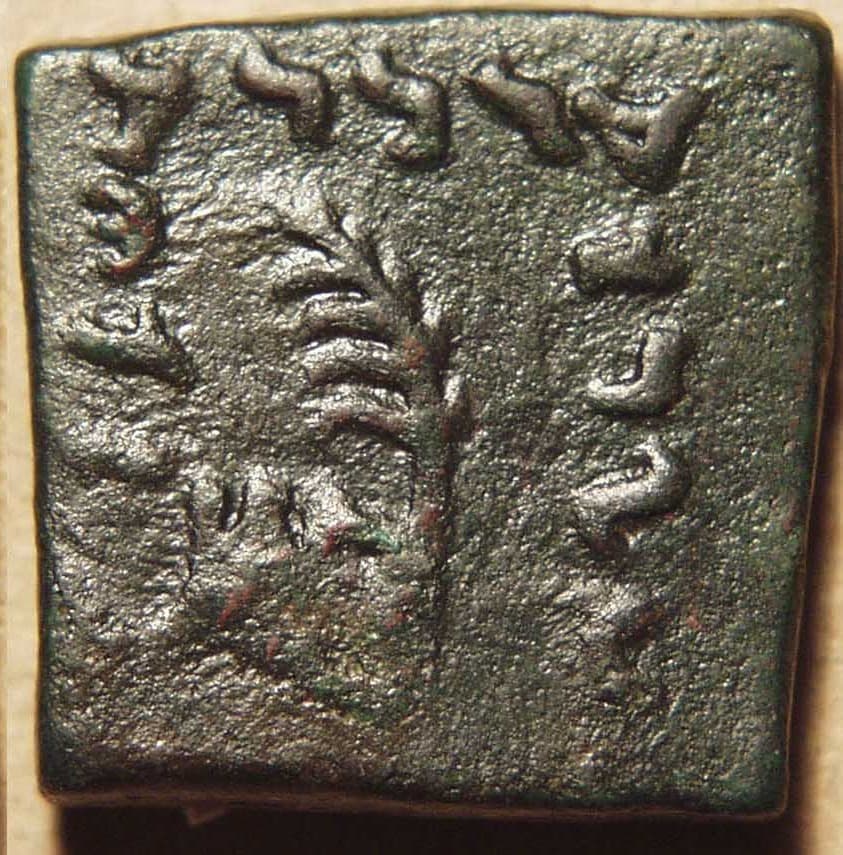 Menander I, Bronze Half unit - Copper reverse