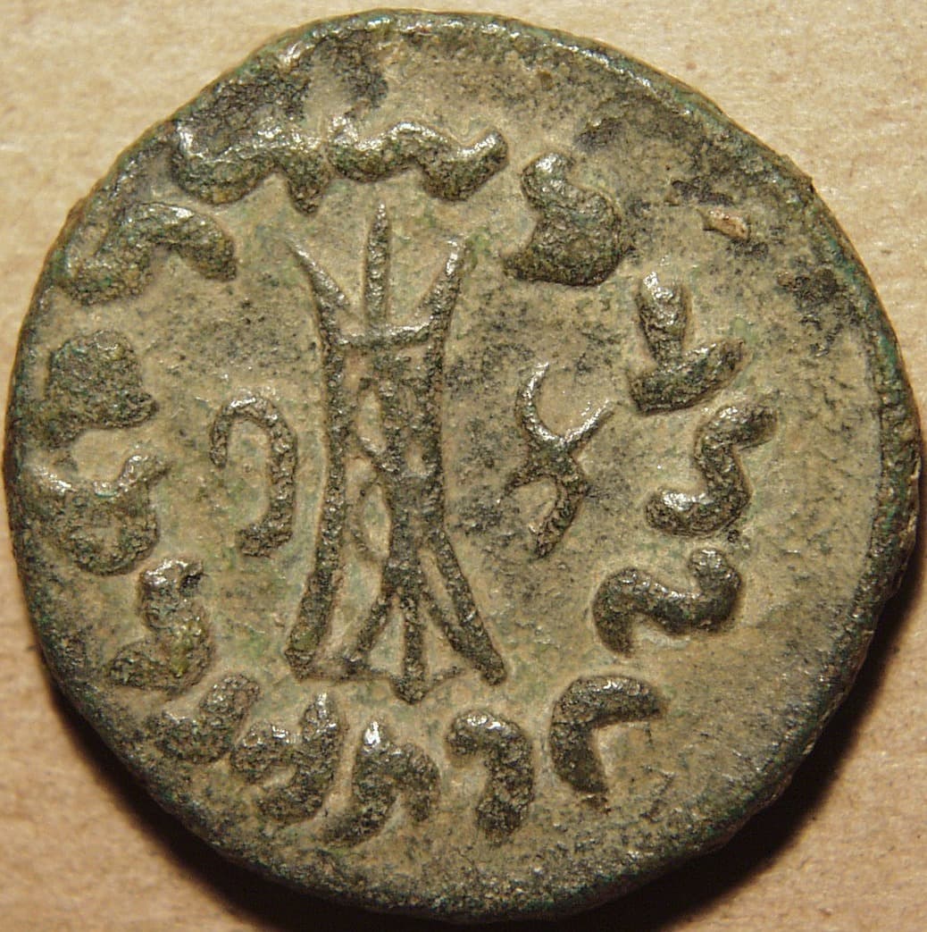 Apollodotus II, AE obol/octuple - Copper reverse