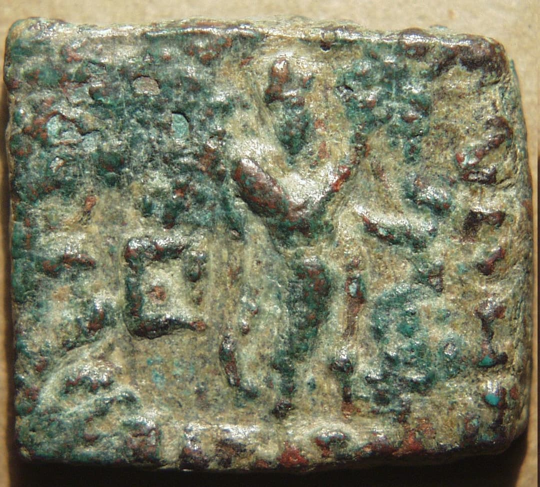 Zoilus II, AE obol/octuple - Copper obverse