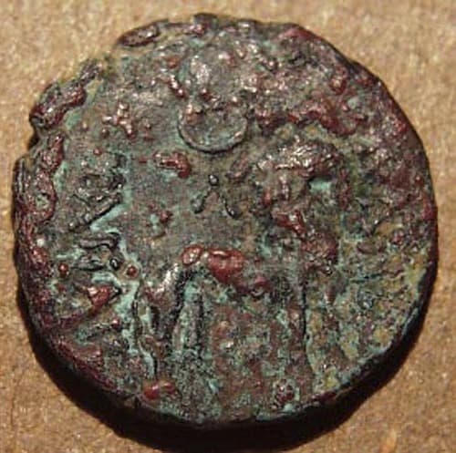 Sapalbizes Copper chalkous reverse