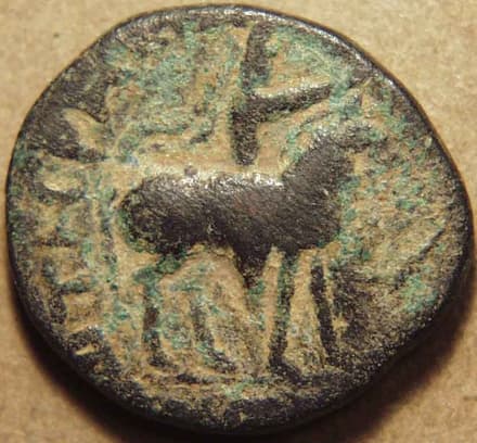 Damazada I Jayadaman Dynastic/series coin types (Dynastic/series coin types) - Var. 002 reverse