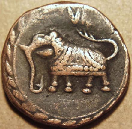 Tipu Sultan AE paisa issues, Farrukhyab-Hisar/Nagar/Patan - Copper obverse