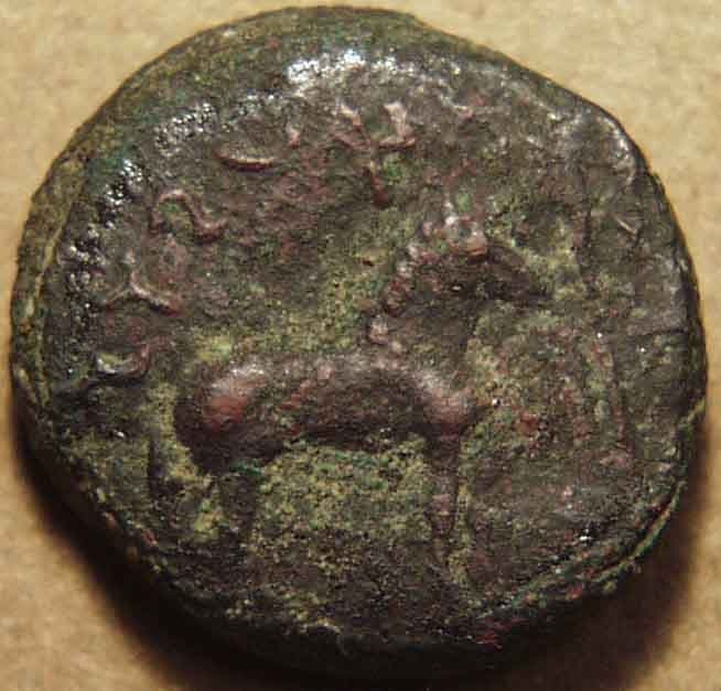 Damazada I Jayadaman Representative coin entries listed on catalog gallery page (Representative coin entries listed on catalog gal… - CI-DYN-B40-001 obverse