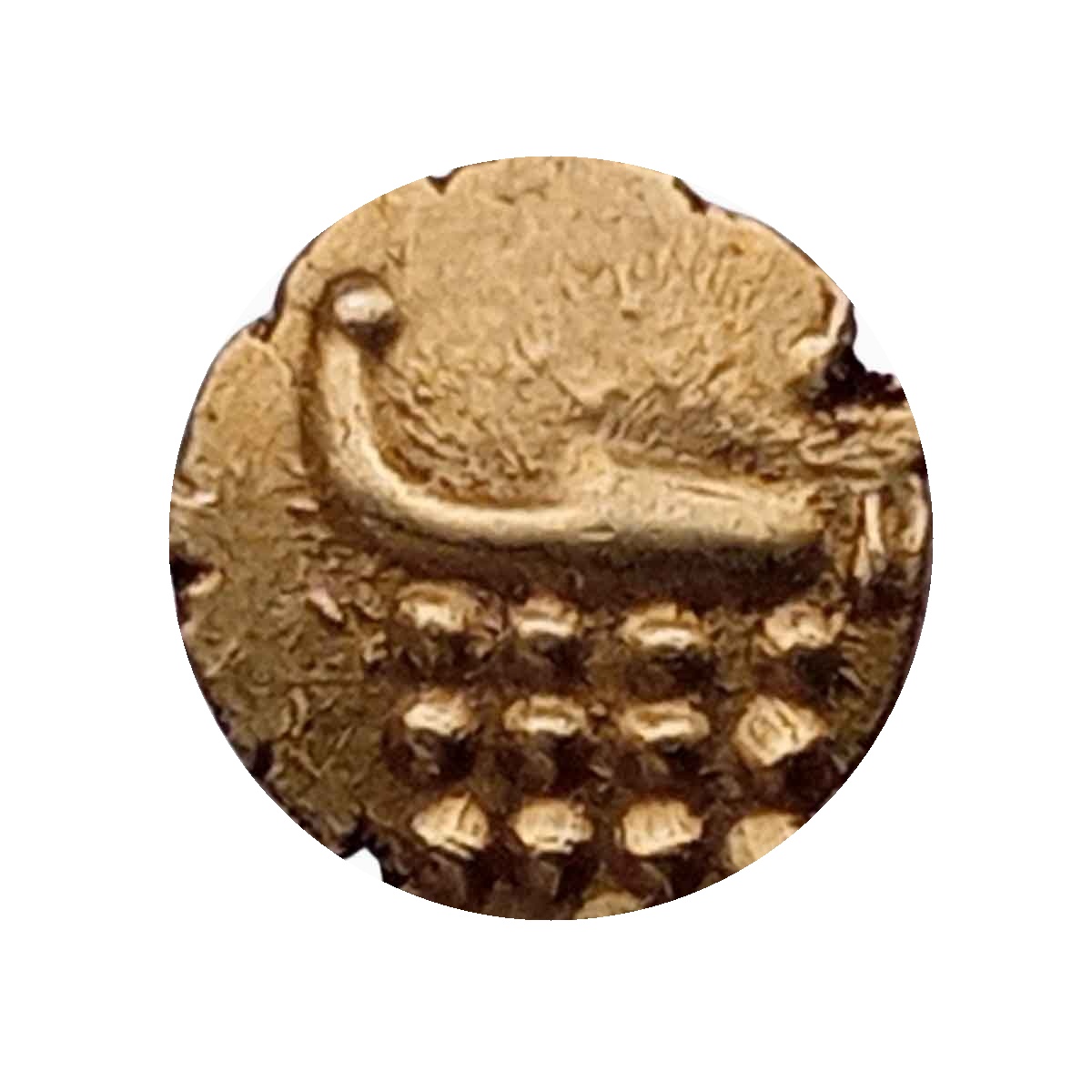 Vira Raya Gold Fanam of Cochin State. Collectible thumbnail 2